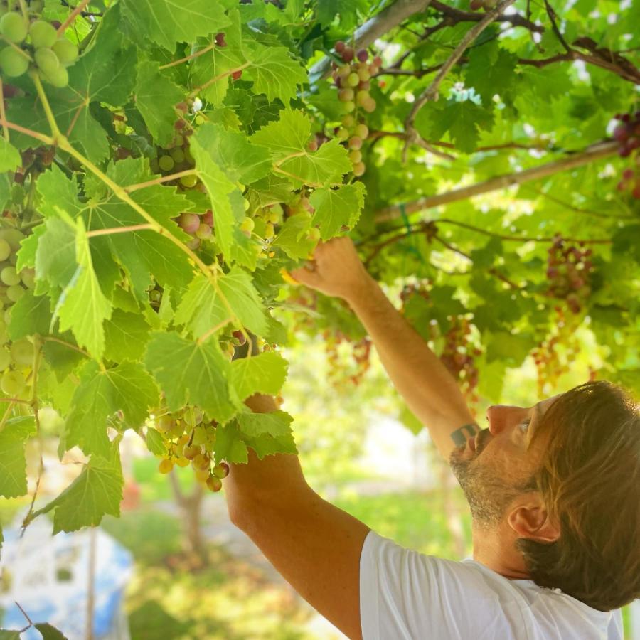 Masseria Vittoria Acaya Ngoại thất bức ảnh