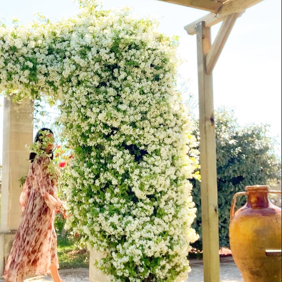 Masseria Vittoria Acaya Ngoại thất bức ảnh