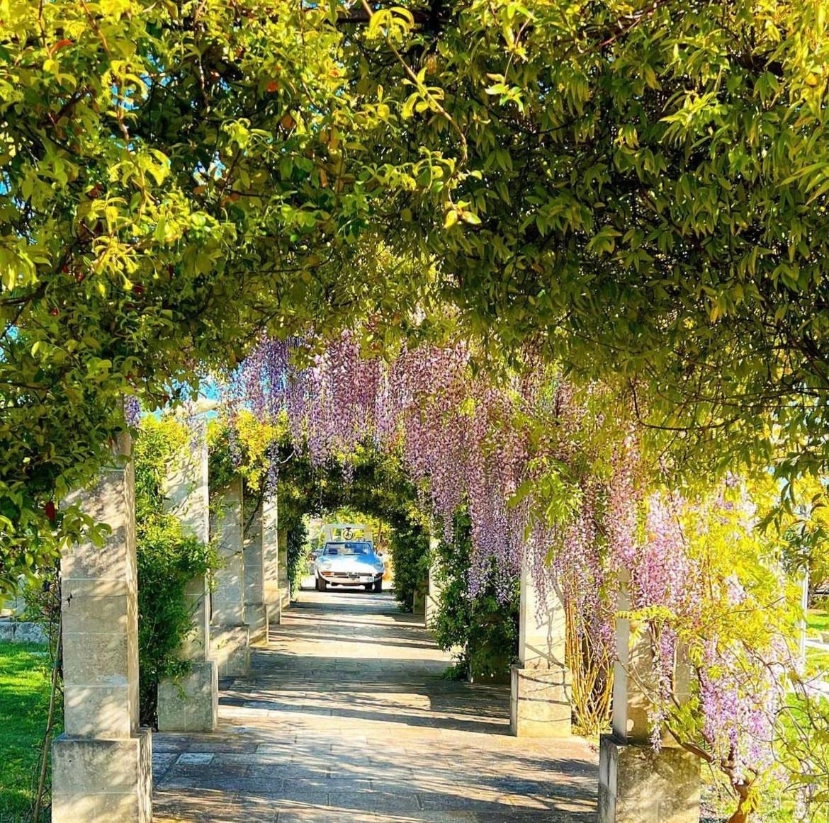 Masseria Vittoria Acaya Ngoại thất bức ảnh
